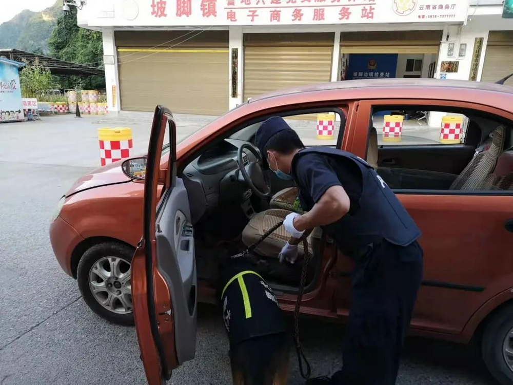 警犬在它的退役现场做了一个动作让人瞬间泪目