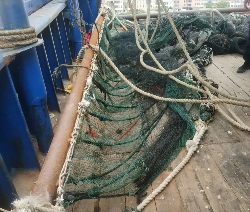 禁渔区使用电拖网非法捕捞两人获刑并承担巨额生态赔偿
