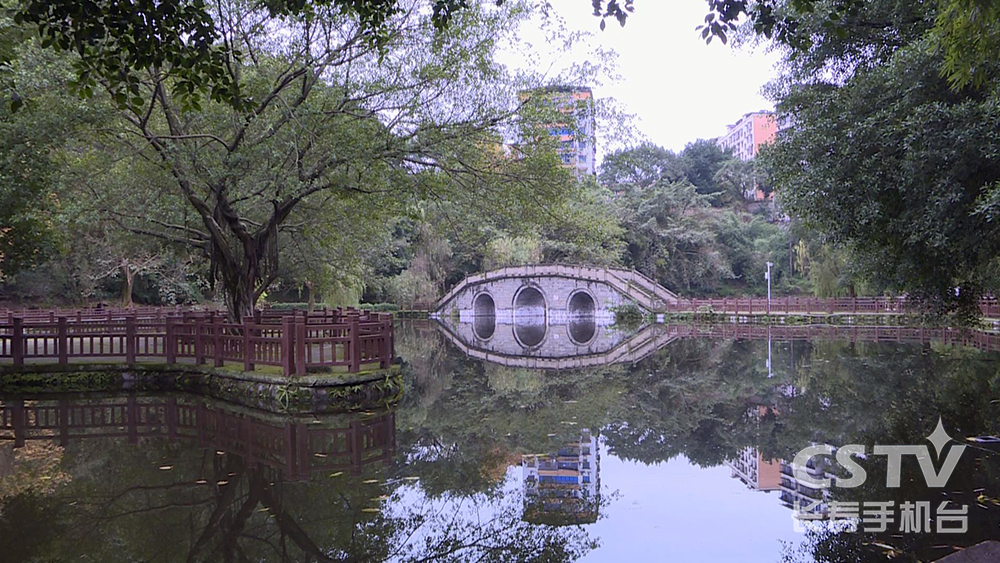 岳池凤山公园在哪里图片