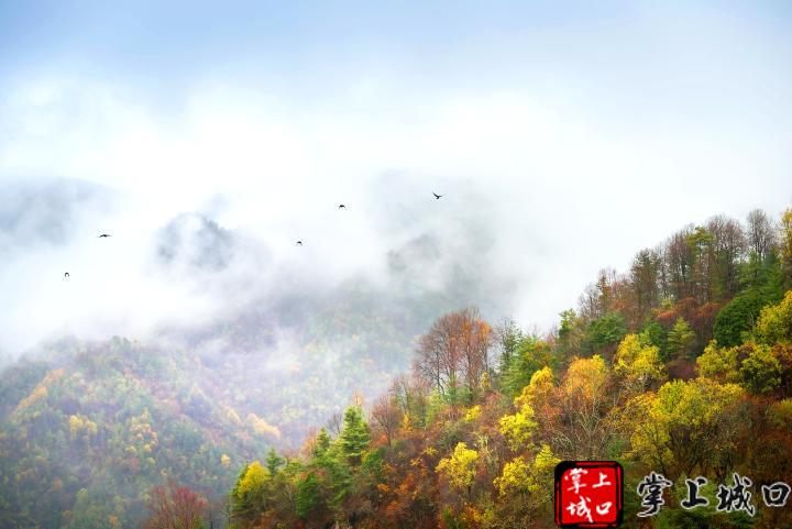 城口新聞 > 正文就能來一場說走就走的旅行 在這裡邂逅深秋 看山嵐層