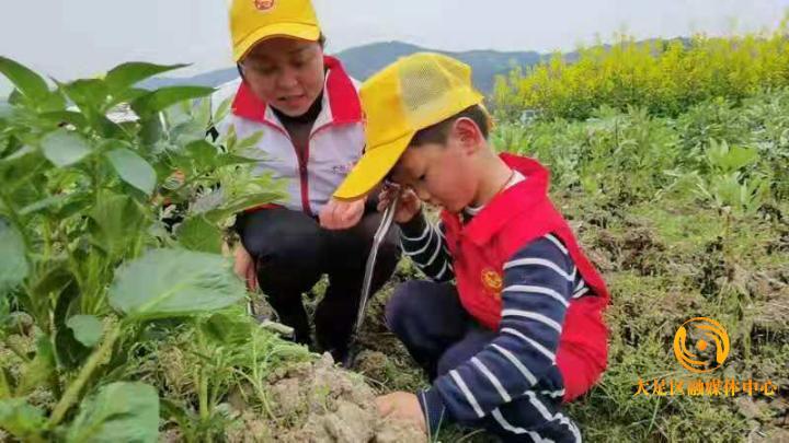 春暖花開 快樂種植 大足區拾萬鎮中心幼兒園開展春季種植主題活動