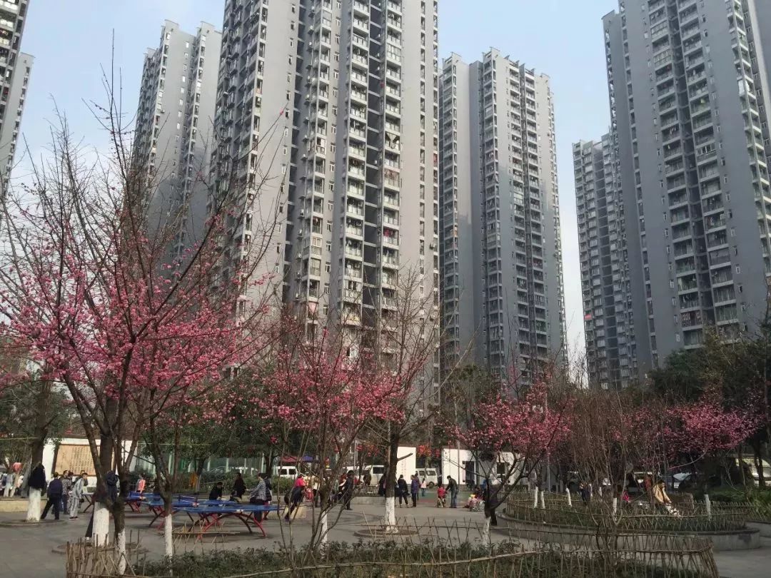 探寻重庆首个公租房社区—民心佳园