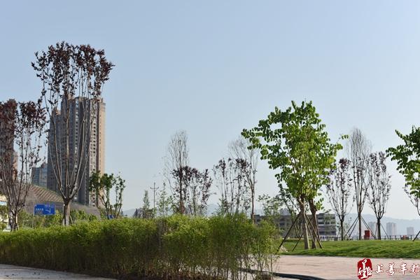 丰都龙河东滨江公园图片