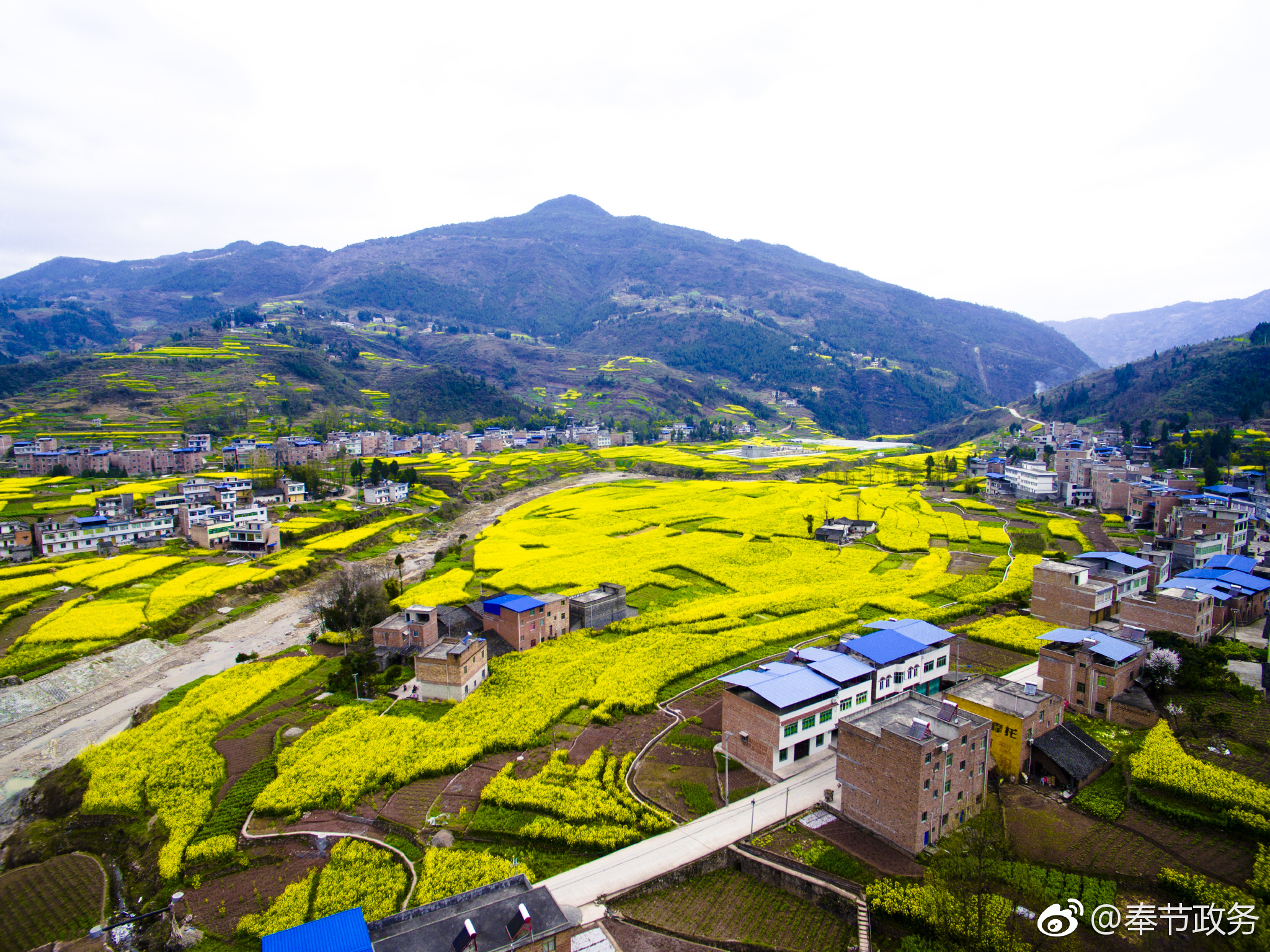 活动当天,游客可在甲高镇参加"奉节甲高首届万亩油菜赏花季"活动启动