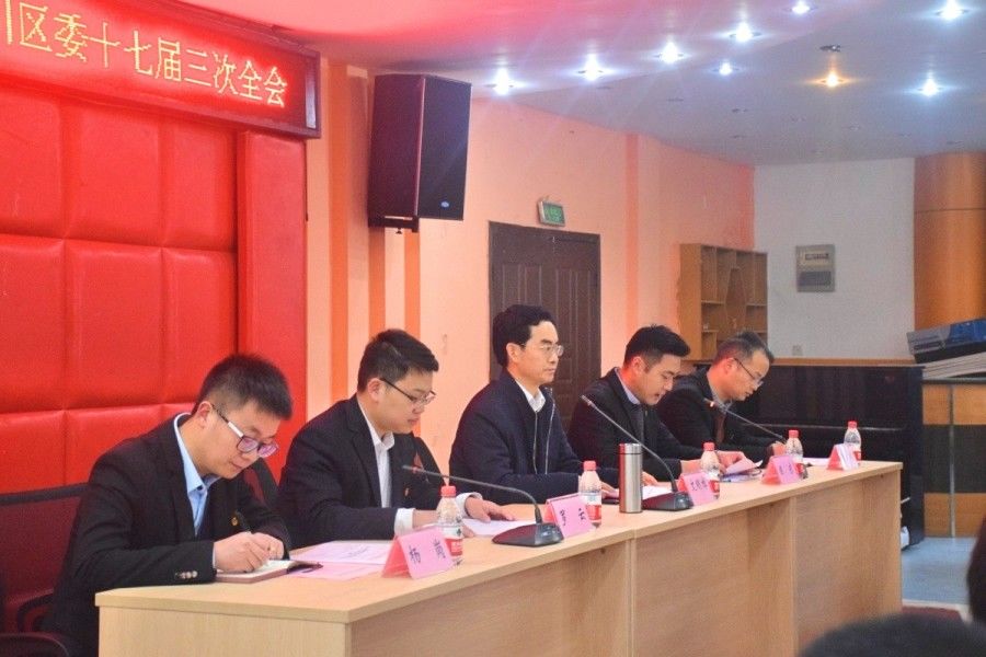共青团重庆市合川区委员会十七届三次全会顺利