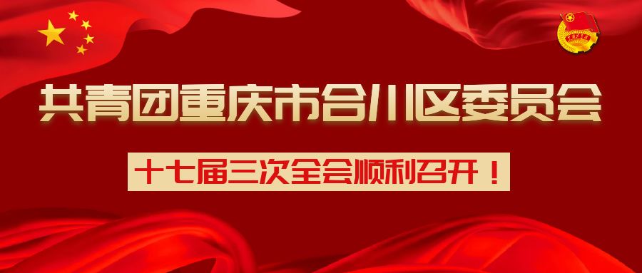 共青团重庆市合川区委员会十七届三次全会顺利