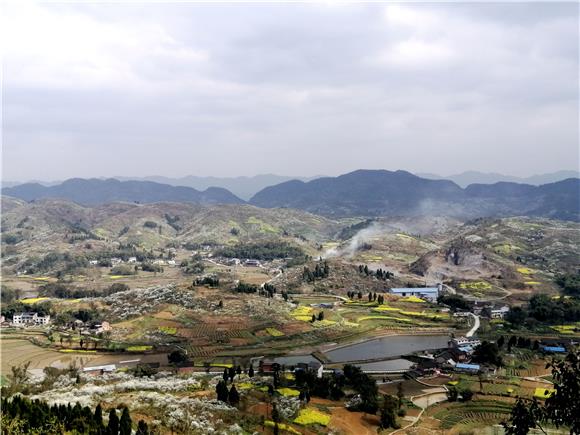 重庆市合川区双凤镇图片