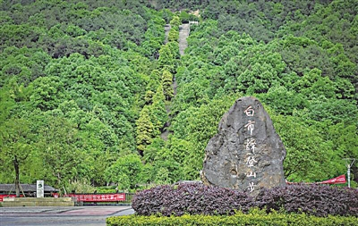 逛溼地公園走成渝古道九龍坡區12條步道亮相