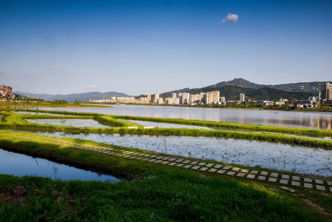 开州国家湿地公园汉丰湖已成三峡靓丽的旅游名片