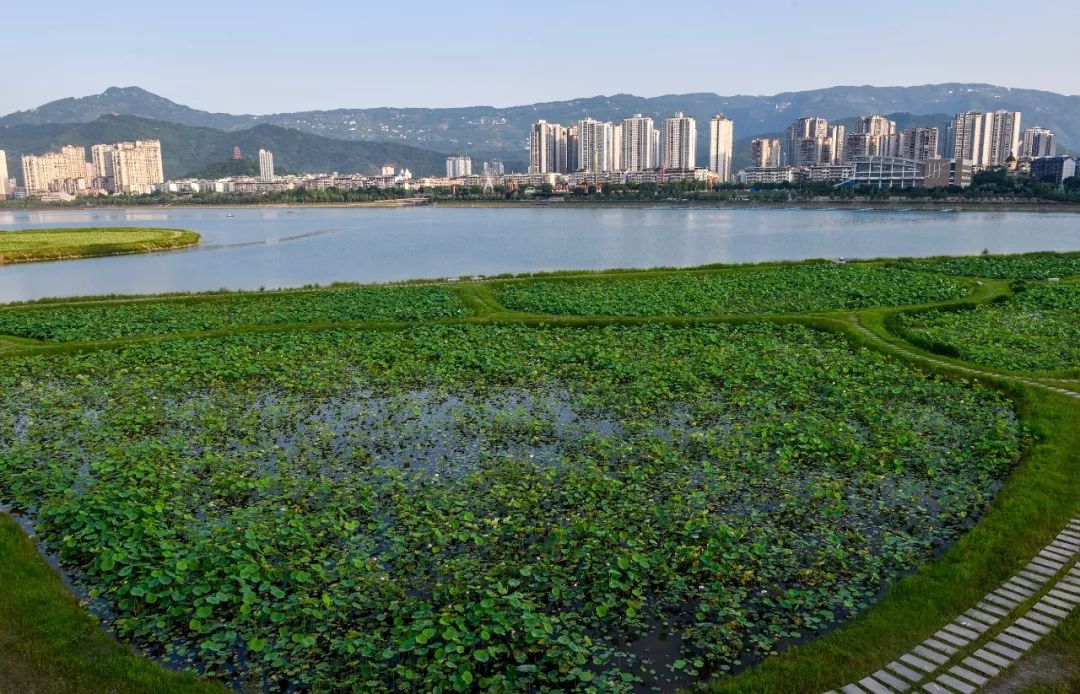 开州国家湿地公园汉丰湖已成三峡靓丽的旅游名片