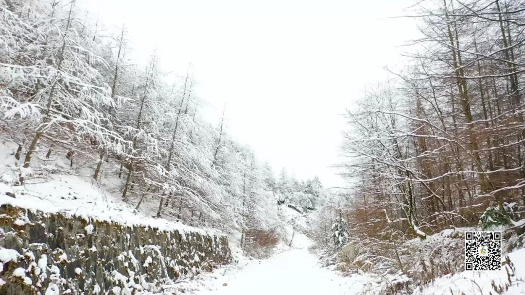 最美开州雪宝山 震撼不过下雪天