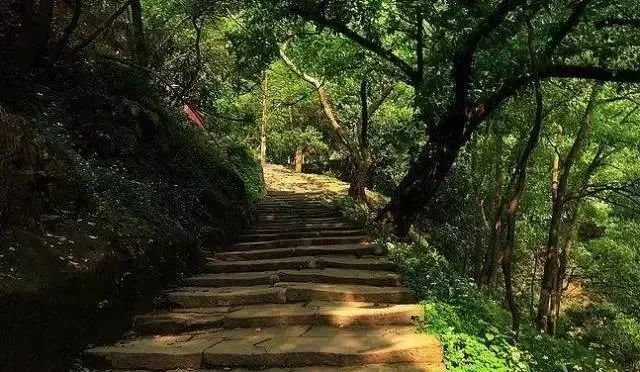 黃葛古道:見證過昔日的繁華,也承擔起如今的美好