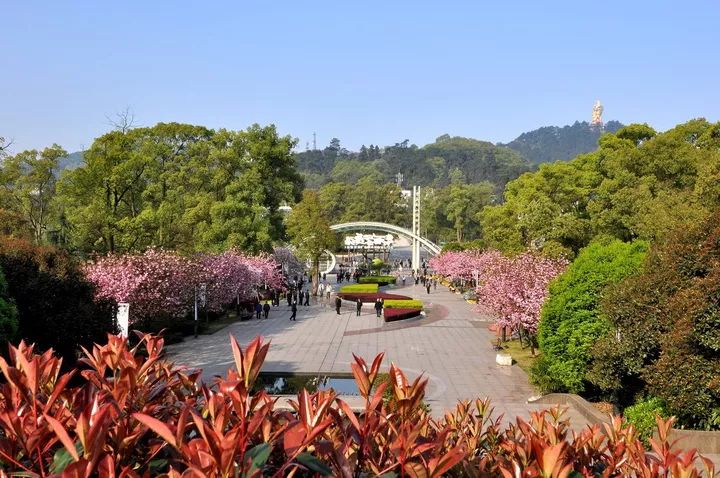 一等獎5000元重慶南山植物園慶祝建園60週年攝影展向您徵稿