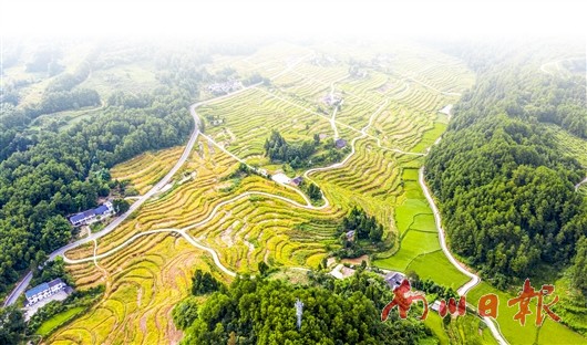 南川区河图镇图片