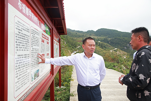 彭水县委副书记陈清松调研时表示扎实抓好产业发展助力村民增收致富