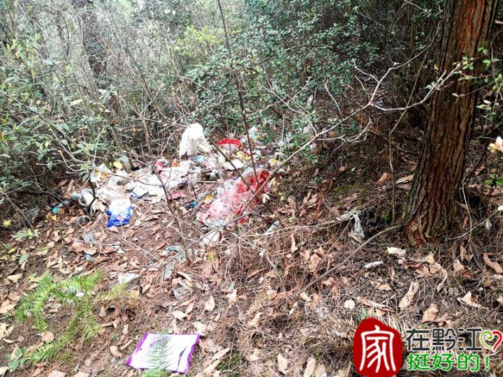 痛心情侣山上垃圾遍地