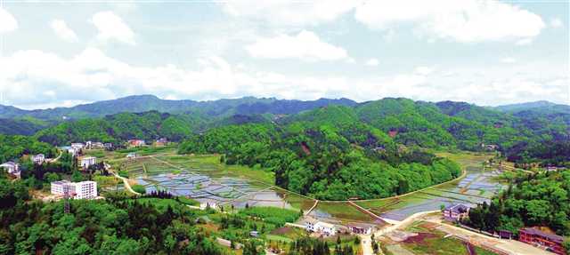 中益乡乡村旅游产业链初步形成"村游"胜景吸引游客纷至沓来;黄水镇