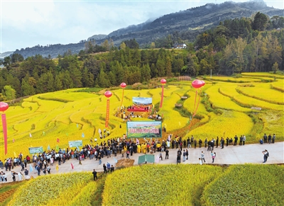 石柱土家族自治县高端网站建设_(石柱土家族自治县高端网站建设有哪些)