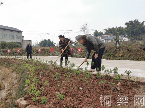 少云镇:党员主动认领责任区,干群协力乡村更美丽