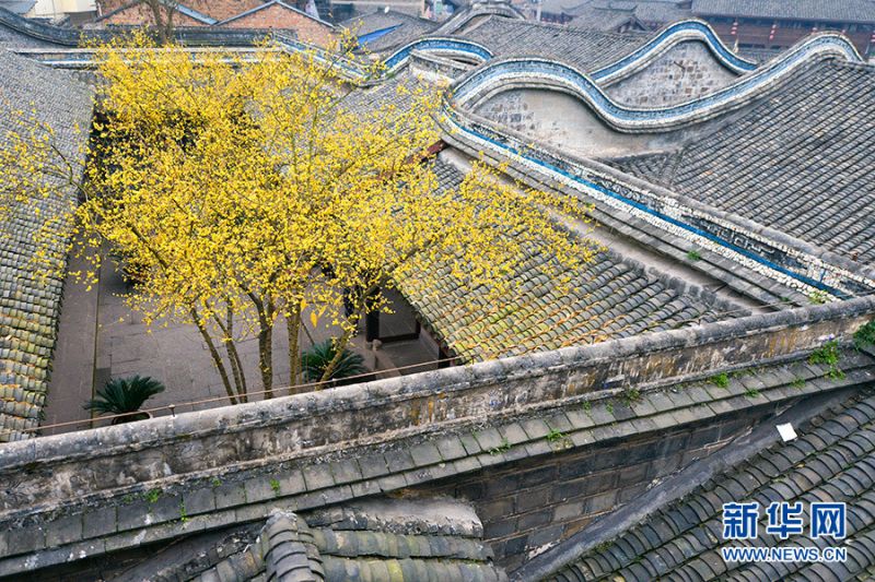 重庆市潼南区双江镇的杨氏民居,是我国西南地区保存最完好,最具特色