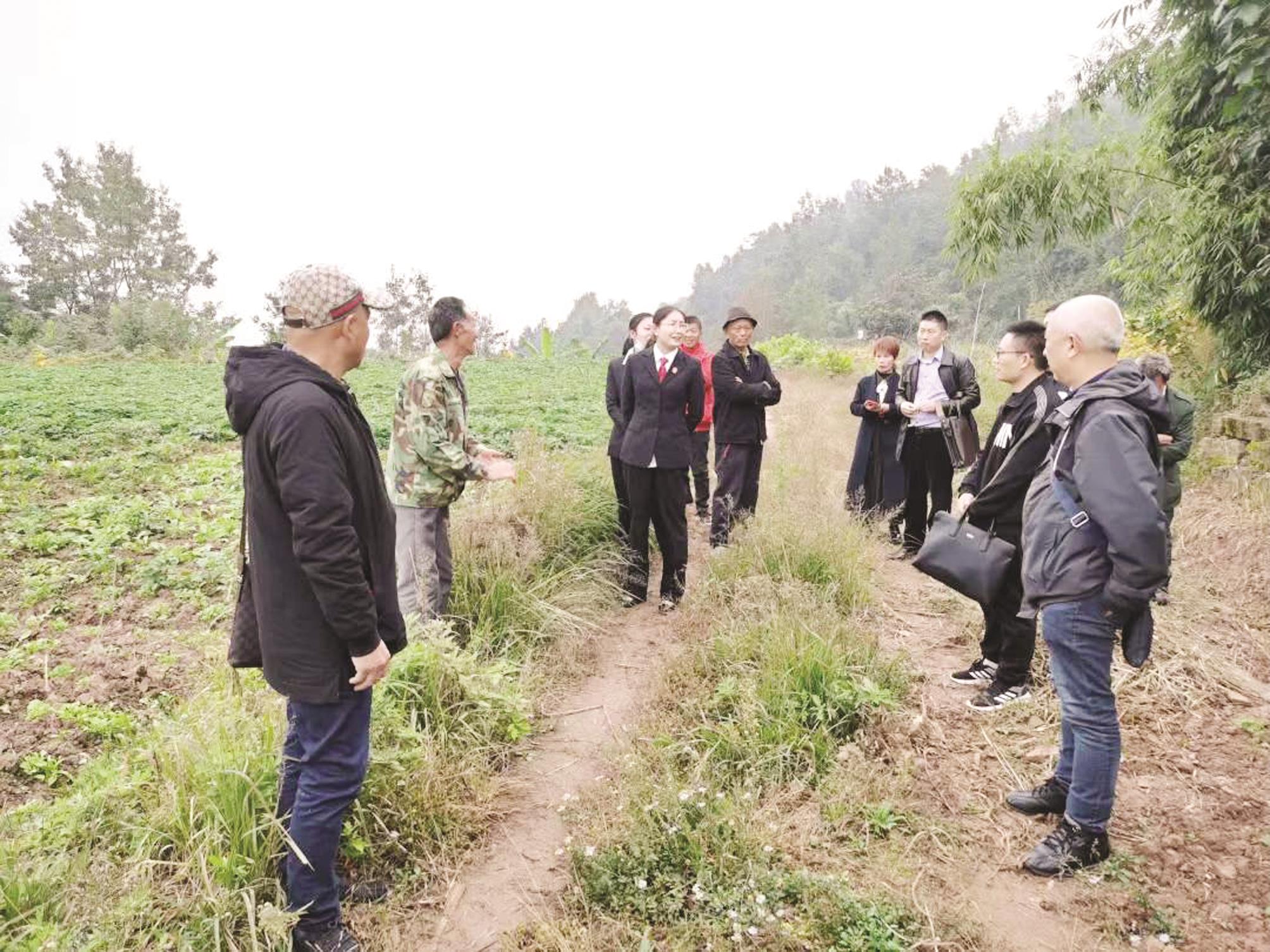 三兄弟因农村宅基地建设起纠纷法官上门化解矛盾修复兄弟情