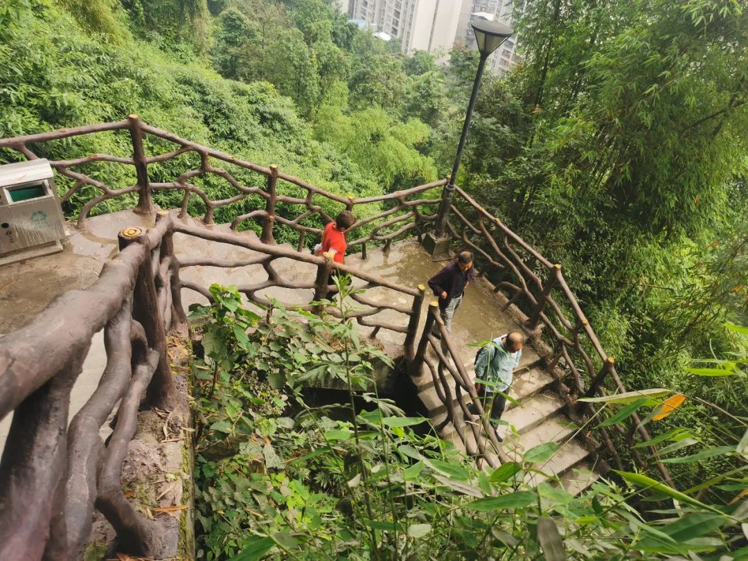 今天正式投用!万州这条登山步道