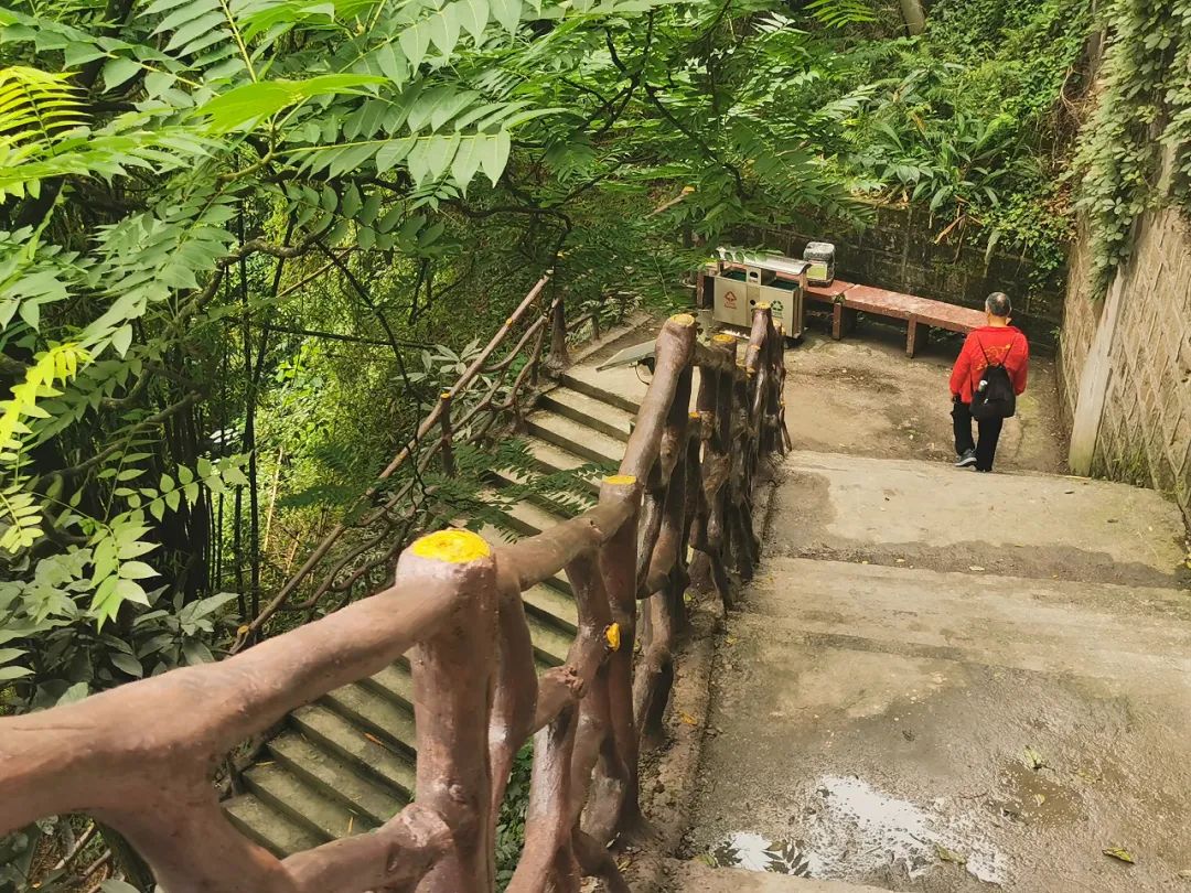 今天正式投用!萬州這條登山步道