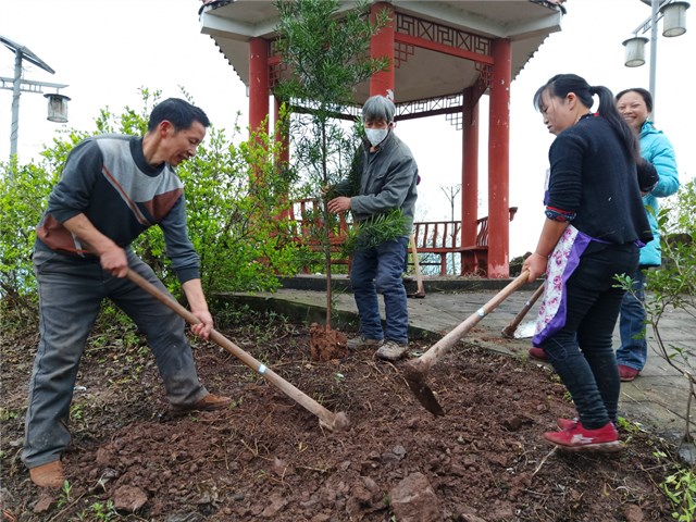 廟埡鄉開展春季義務植樹造林活動