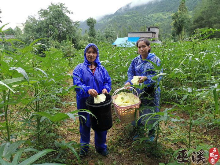 巫溪县尖山镇多少人口_巫溪县人民医院照片