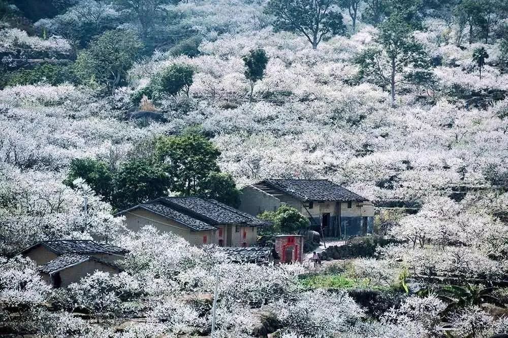 天坪山云端野炊营地图片