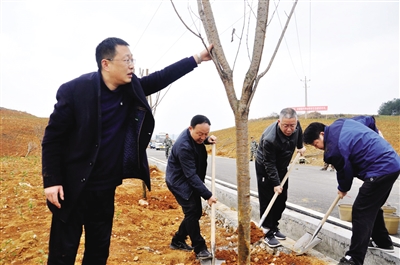 秀山打響植樹造林國土綠化