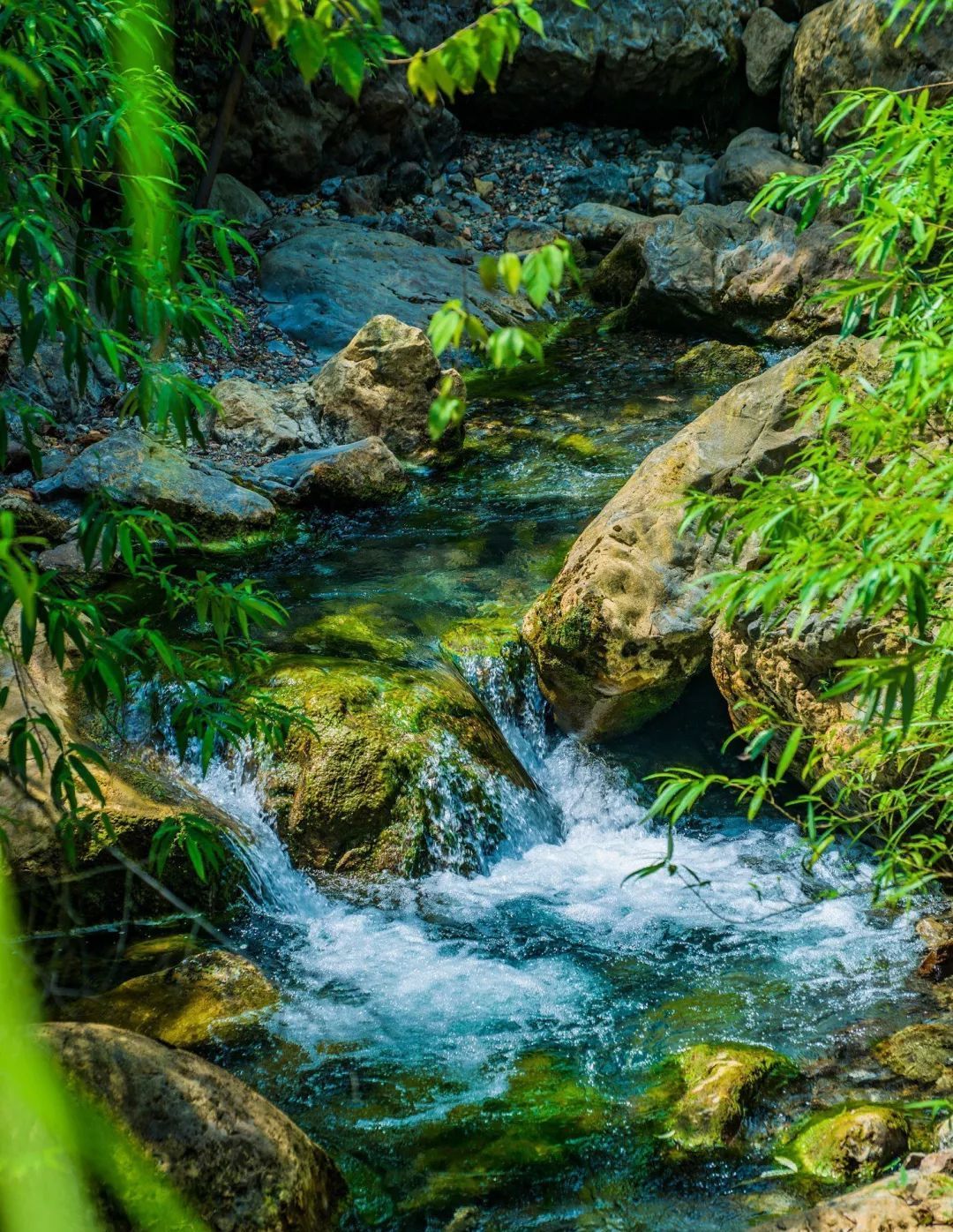 山青青水图片