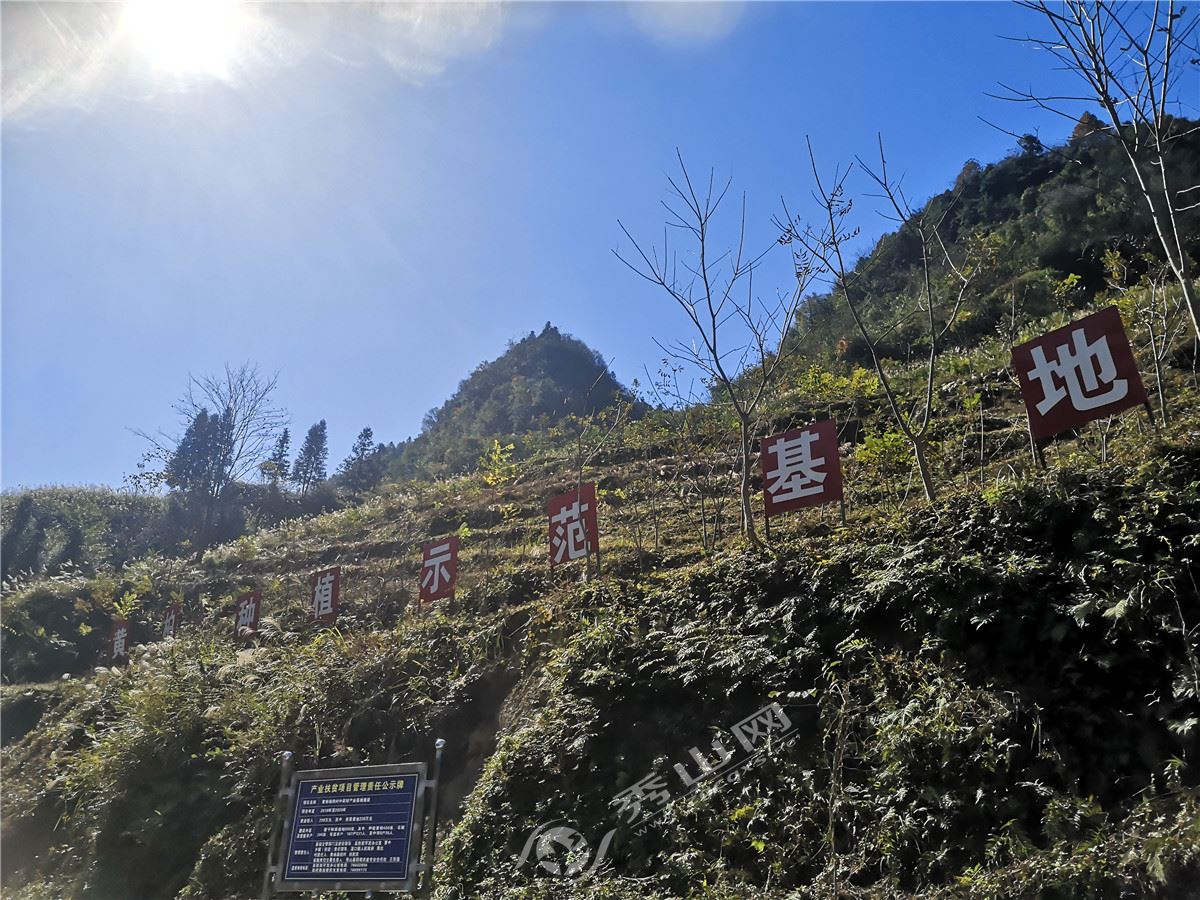 重庆市秀山县溪口镇图片