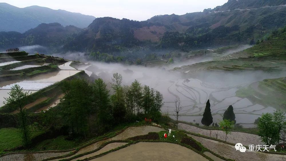 美图航拍重庆酉阳花田乡云雾绕梯田美景入画来