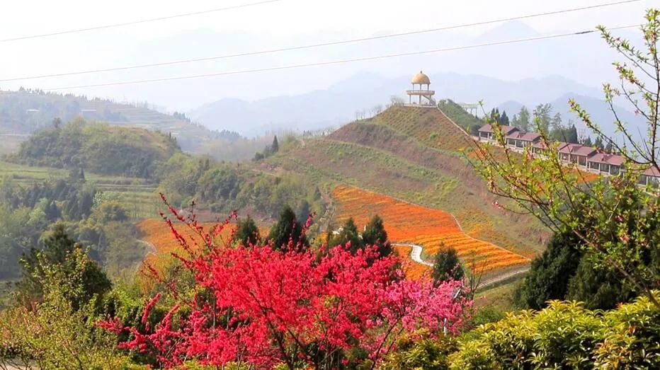 这片花海,你不得不来 它就是云阳县的aa级旅游景区——花千谷