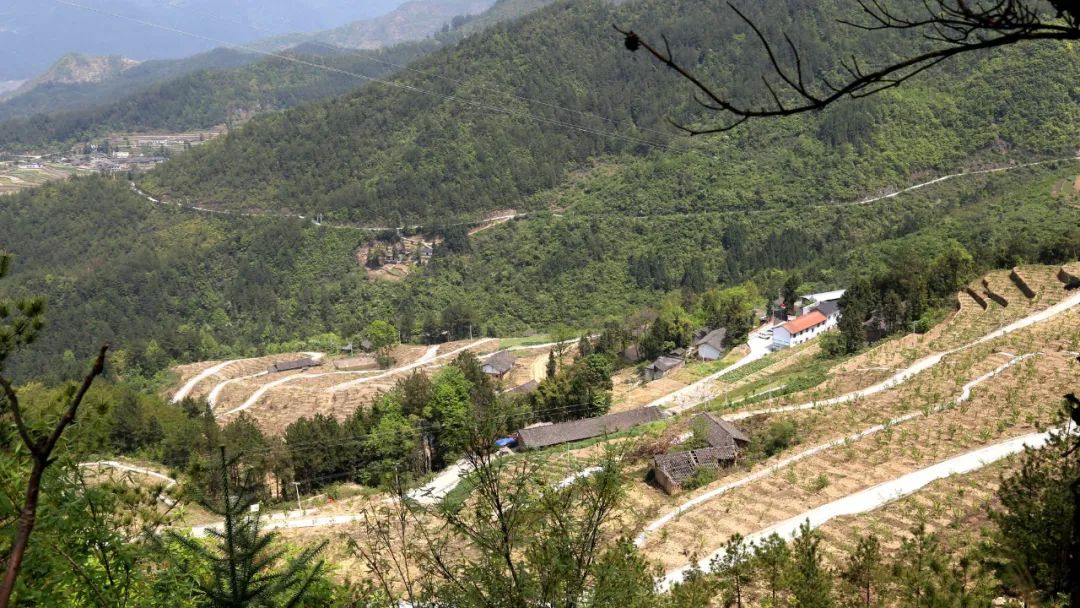 走進雲陽鎮古寺村: