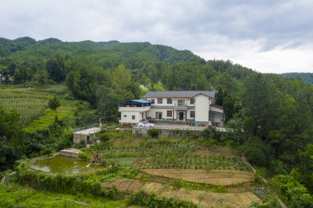 云阳双土映山红节即将开幕,游玩攻略请收好!