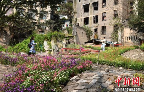 重庆废墟花园图片