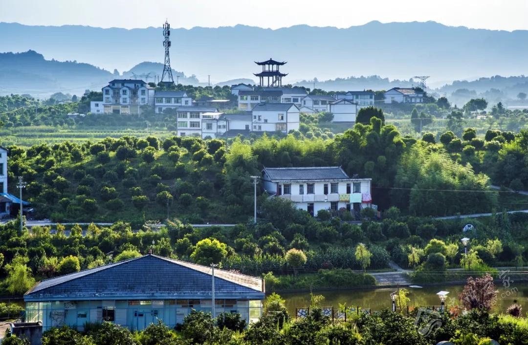 四川杨柳村图片