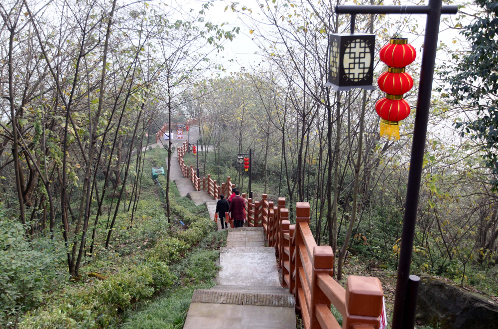 重庆江北塔山公园图片