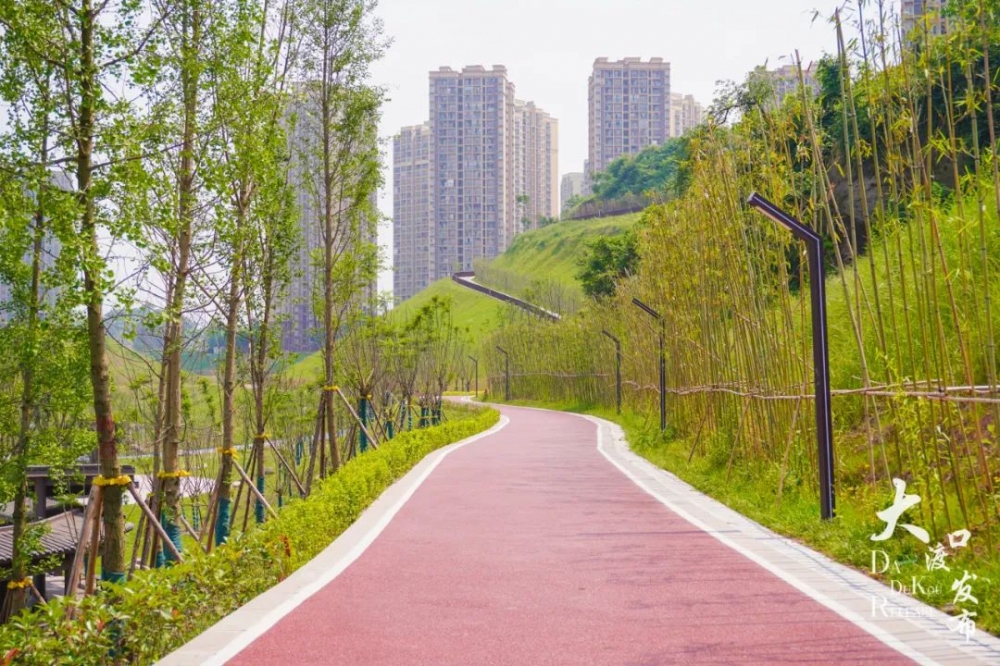 沿着环河步道,三三两两悠闲漫步…摄影 钟戈摄影 张诗雨大渡口