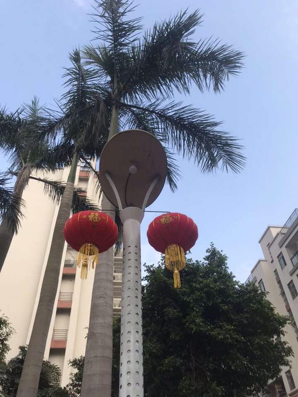 开平丽景华庭,竟有如此春光,如此令人醉