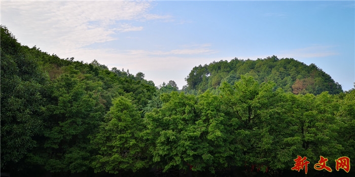 樵坪把扶贫助农土货节办到了景区|重庆巴南区樵坪把扶贫助农土货节办到了景区