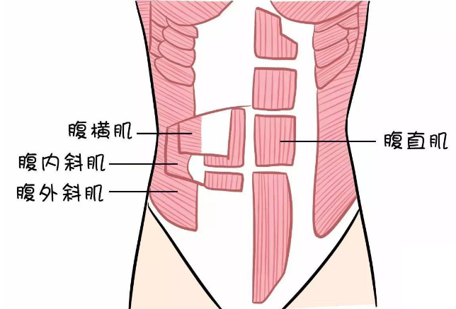 收腰呼吸大法站立姿势,双手叉腰(肚脐靠上一点的位置),分开双腿,与肩