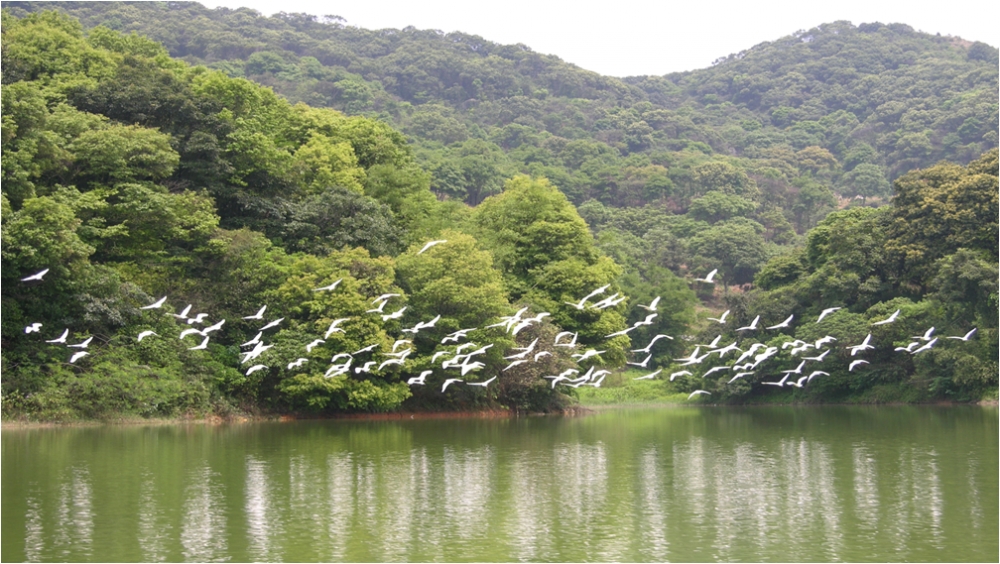 广东省唯一项目广州市黄埔区南岗河入选水利部首批开展幸福河湖建设