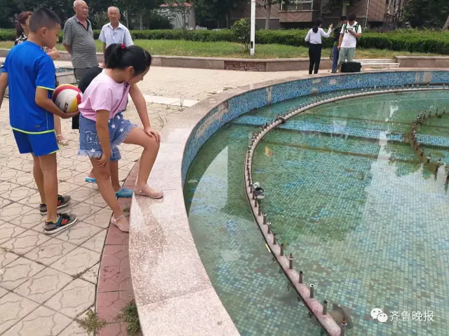 8岁男孩进小区喷泉池捉鱼身亡 腿上有电击伤