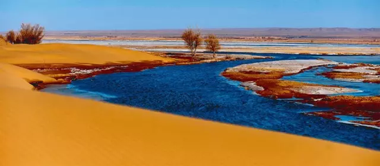 内蒙古磴口县刘拐沙头，黄河在乌兰布和沙漠边缘平静缓流（2011 年3 月摄）任军川