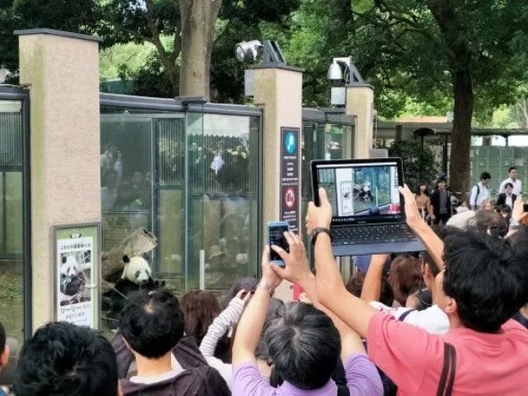 日本人挤爆动物园 只为看这只新生的中国国宝