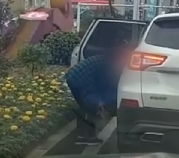 女子将绿化盆栽搬上自己车被拍视频 迫于压力送回