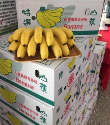 香蕉价格低迷，为了抢救蕉价，“立委”曝台军已经连续吃了2个月香蕉。图片来源：台湾联合新闻网。 